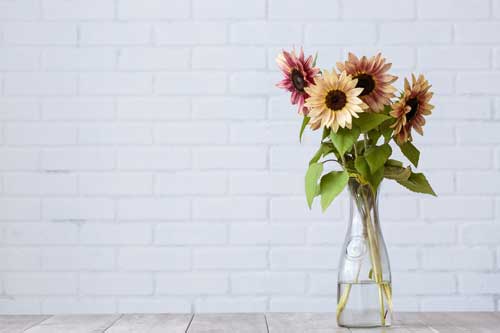 Astuces pour conserver un bouquet ?