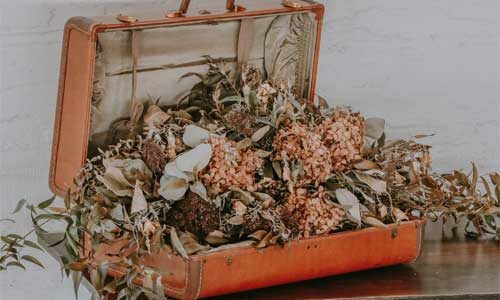 une mallette ouverte remplie de fleurs séchées sur une table