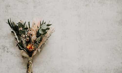 des fleurs séchées sur du béton ciré