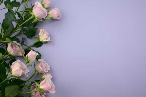 Quelles fleurs offrir à un mariage ?