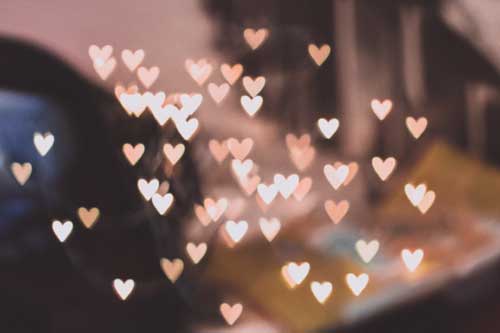 Quelles fleurs offrir pour la Saint Valentin ?