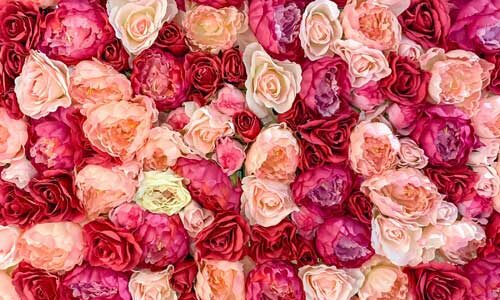 un bouquet de roses posé sur une table