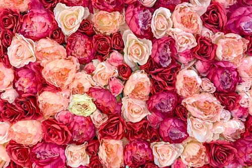 Nombre de roses dans un bouquet… combien ?