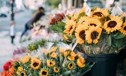 Comment connaitre l’origine des fleurs ?