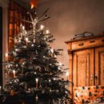 Comment choisir son sapin de Noël ?