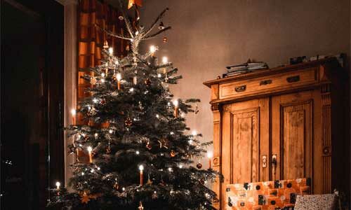 Comment choisir son sapin de Noël ?