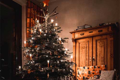 Comment choisir son sapin de Noël ?